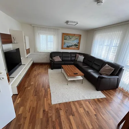 Modern In A Location And Free Parking Daire Bregenz